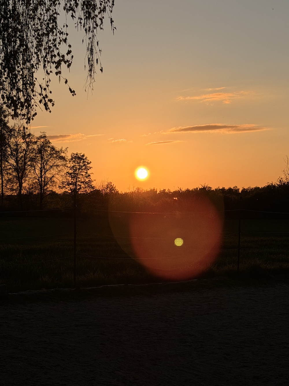 sonnenuntergang.jpeg