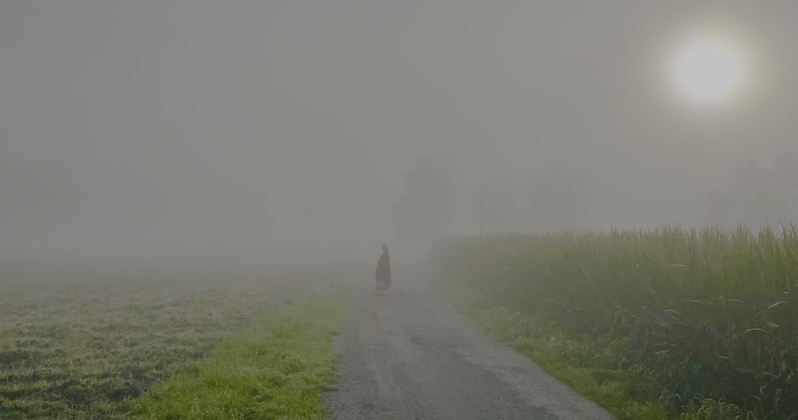 Gefühle die gar nicht dir gehören -  transgenerationale Traumata