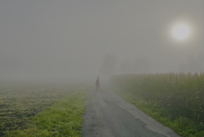Gefühle die gar nicht dir gehören - transgenerationale Traumata